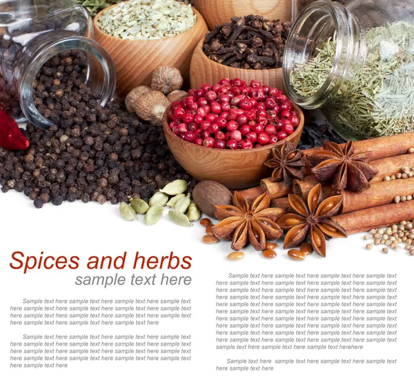 Background of different spices with sample text — Stock Photo, Image