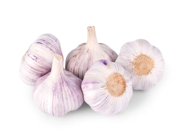 Fem garlics isolerad på vit — Stockfoto