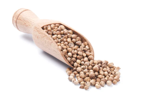 Wooden shovel with coriander seeds — Stock Photo, Image