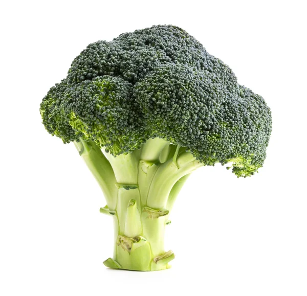 Taze brokoli üzerine beyaz izole — Stok fotoğraf
