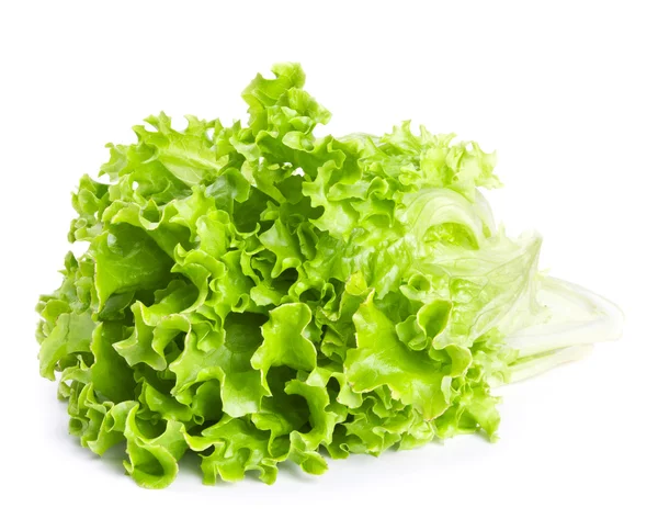 Зеленые листья салата, изолированные на белом — стоковое фото
