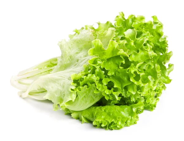 Färska gröna salladsblad isolerade på vitt — Stockfoto