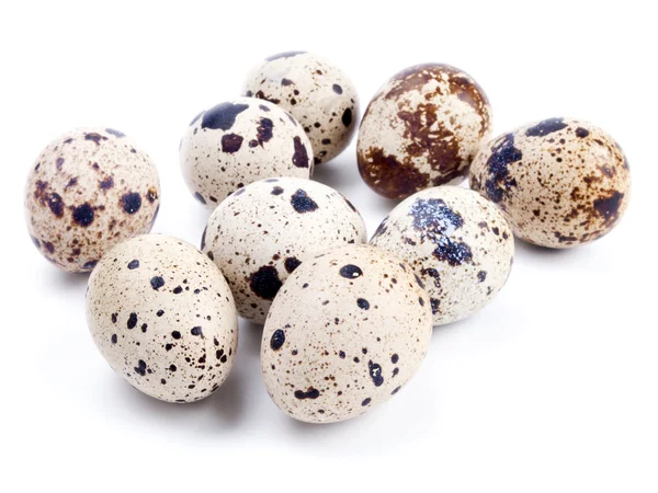 Stock image Quail eggs isolated on white