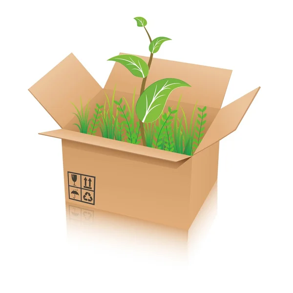 Planta vetora em uma caixa de papelão —  Vetores de Stock