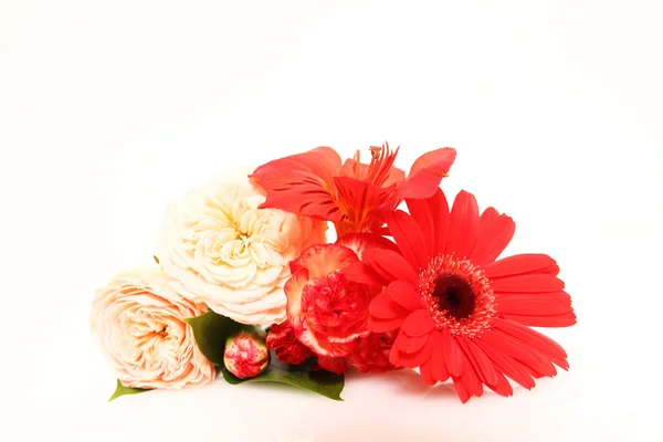 Red daisy and carnation bouquet — Stock Photo, Image