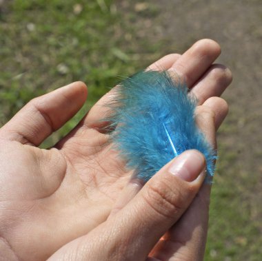 Feather of a dark blue bird. clipart