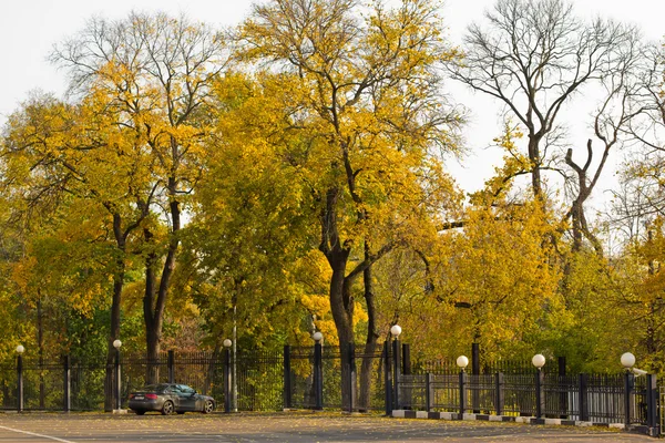 Sonbahar Parkı