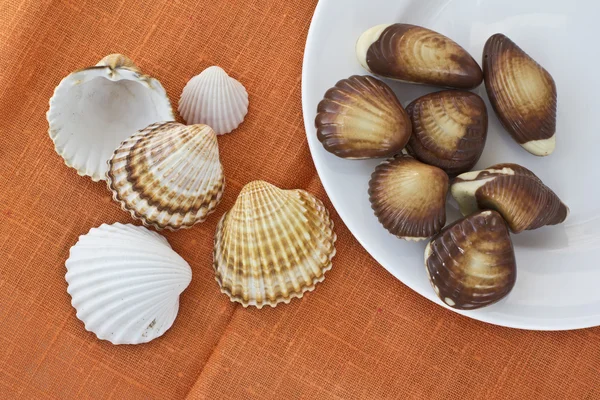Csokoládés édességek és tengeri kagylókból — Stock Fotó