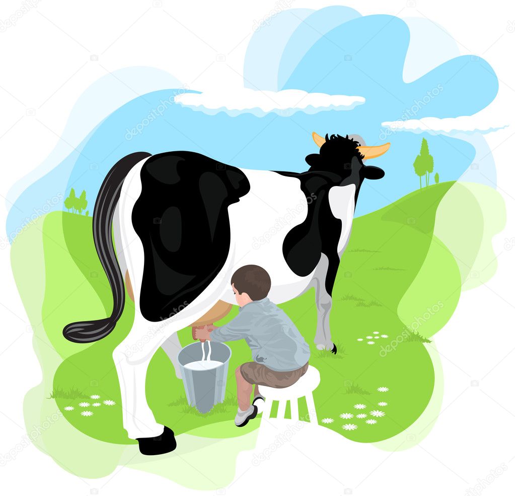 A boy milking a cow
