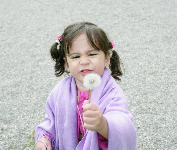 Маленька дівчинка з кульбабами — стокове фото
