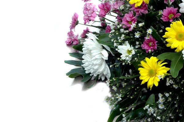 Řada barevných čerstvých květin — Stock fotografie