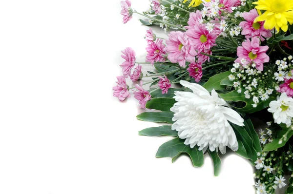 Sorozat színes friss virágok — Stock Fotó