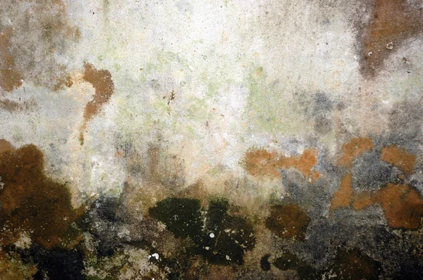 Тупые и моховые стены — стоковое фото