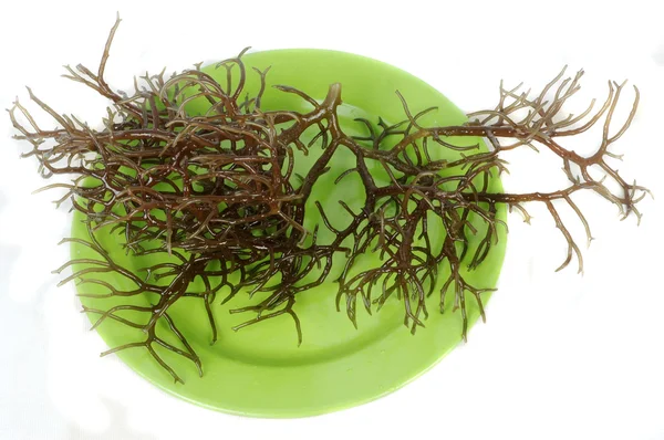 Fresh brown seaweed on a green plate — Stock Photo, Image