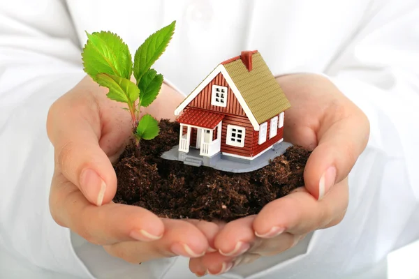 Klein huis en plant in handen. — Stockfoto