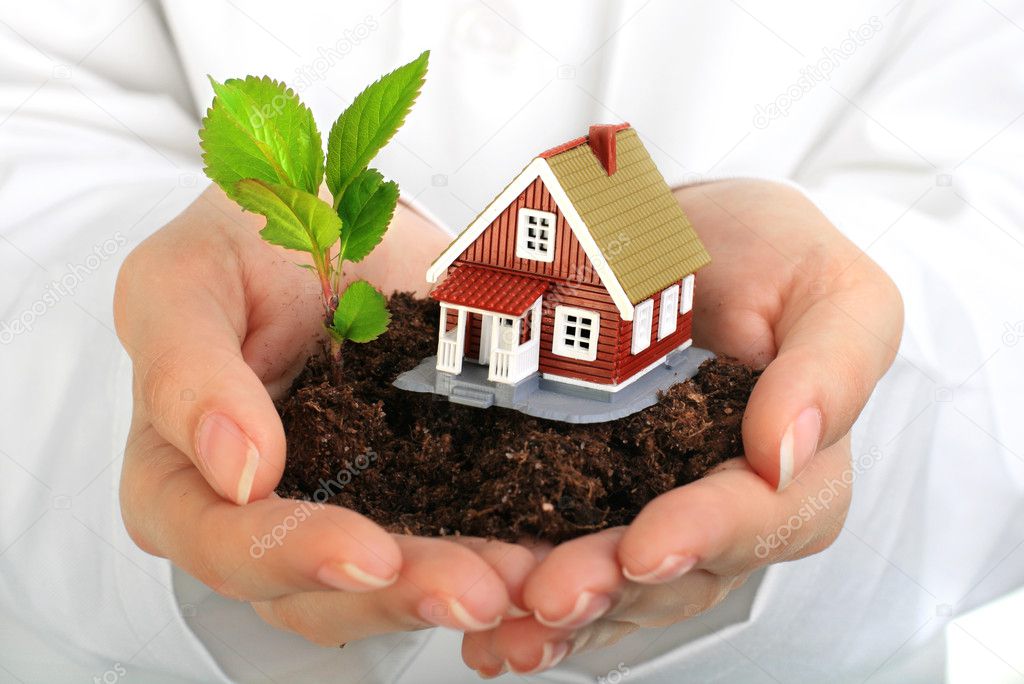 Small house and plant in hands.