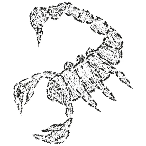 抽象的程式化 B&W 蝎子 — 图库矢量图片