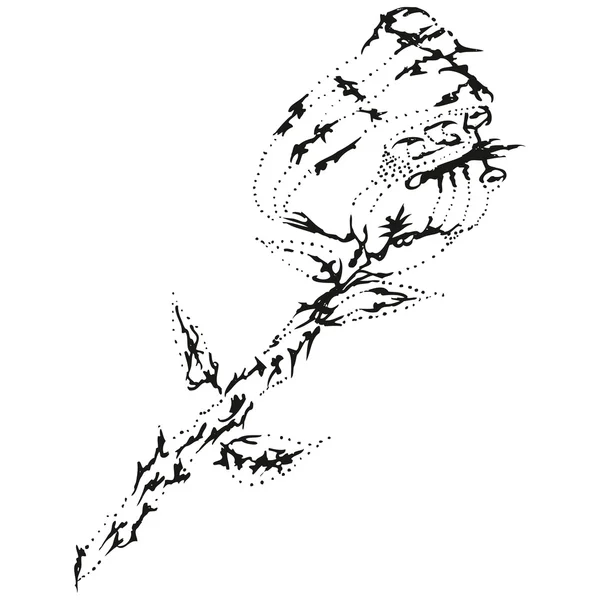 抽象的な様式化された B&W バラの花 — ストックベクタ