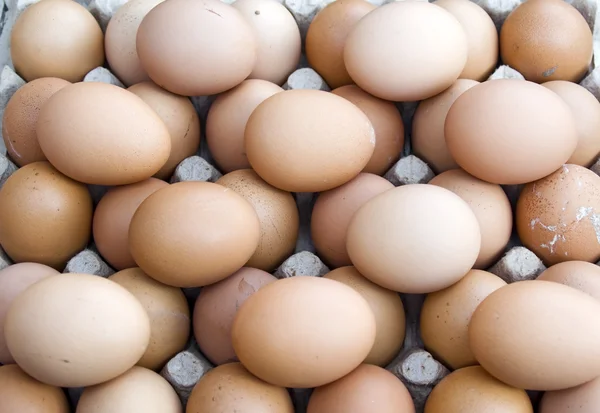 stock image Chicken eggs