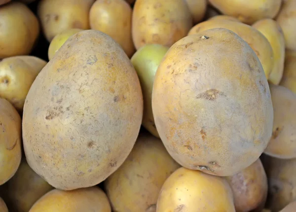 stock image Potatoes