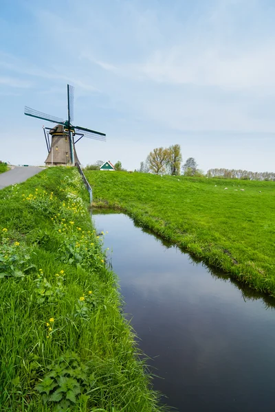 Moinho holandês. Países Baixos — Fotografia de Stock