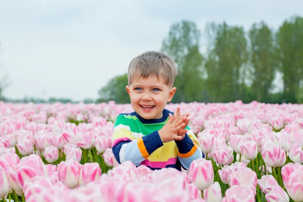 Boy In Tulip Field — Stock Photo, Image