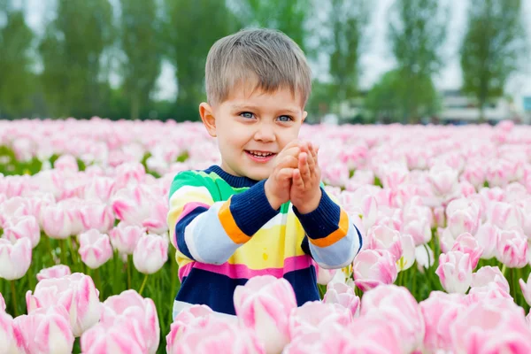Jongen in tulp veld — Stockfoto