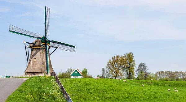 Holländische Windmühle. Niederlande — Stockfoto