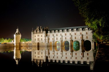 The romantic Chenonceau castle clipart