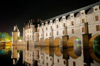 The romantic Chenonceau castle clipart