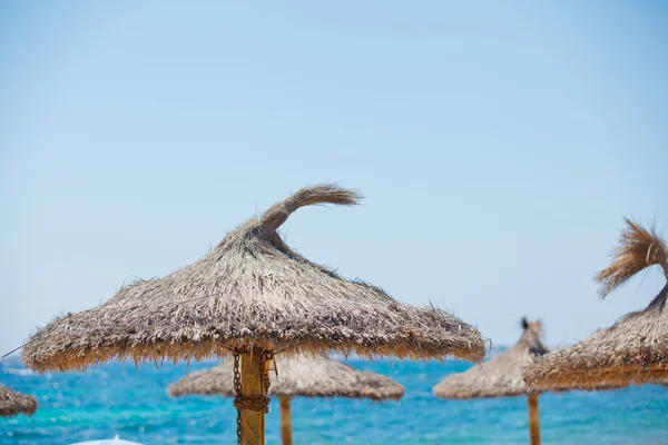 Slunečník na tropické pláži — Stock fotografie