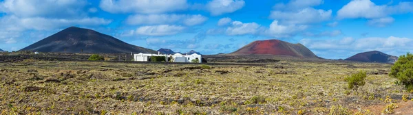 Typical houses on the island of Lanzarote — Stock Photo, Image
