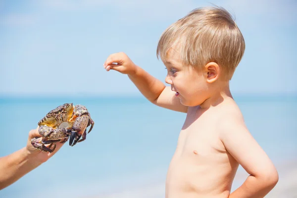 Jovem rapaz entranhando com caranguejo — Fotografia de Stock