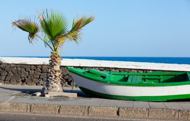 Boat and palm on the coast. clipart