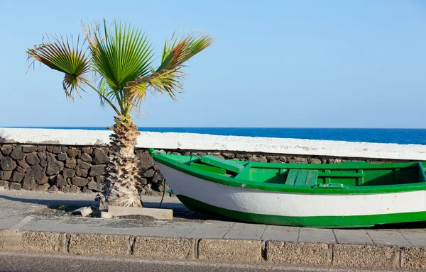 Stock image Boat and palm on the coast.