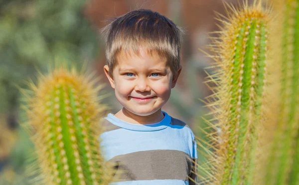 Мальчик с кактусом — стоковое фото