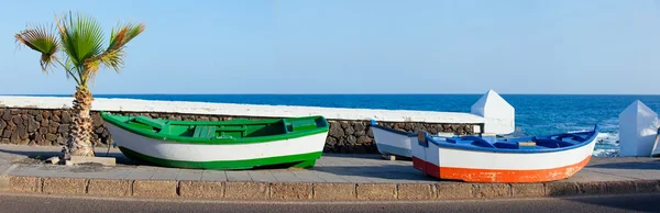 stock image Two boats and palm on the coast.