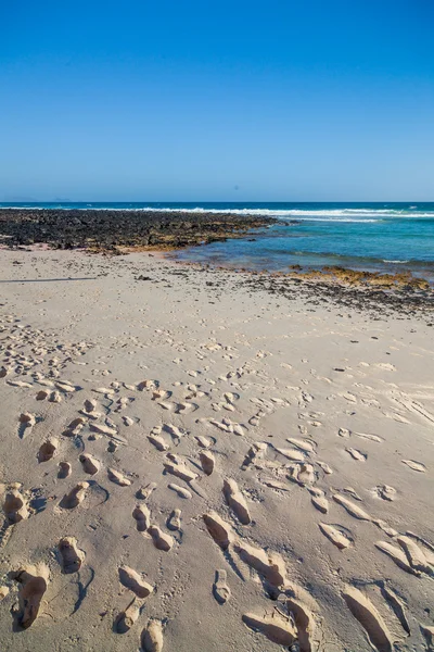 Praia exótica com areia e pegadas — Fotografia de Stock