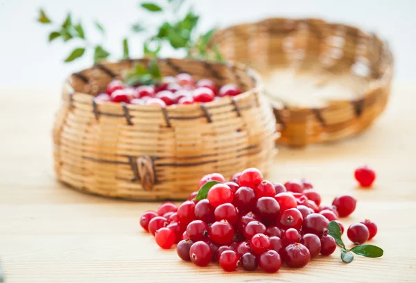 Fresh red cranberries — Stock Photo, Image