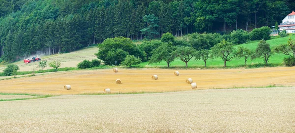 Fält med höstackar i Alperna — Stockfoto