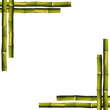 Bamboo frame clipart