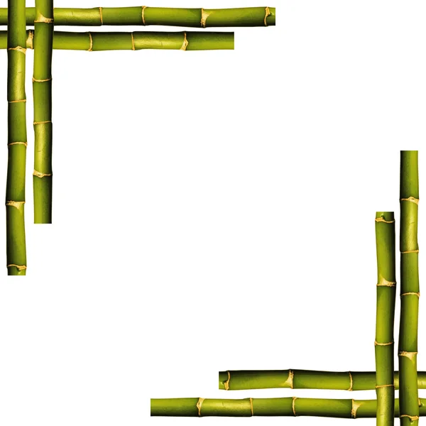 Bambus ramki — Zdjęcie stockowe