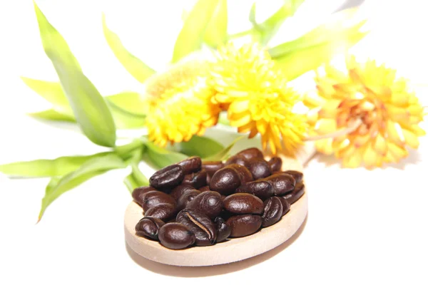 Grains de café sur cuillère en bois, fleurs et bambou — Photo