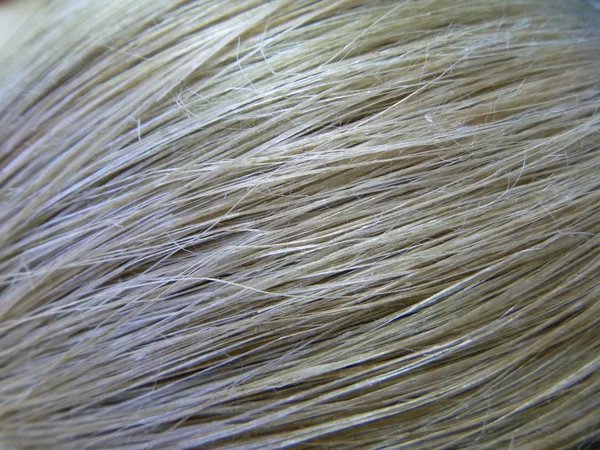 De achtergrond van filaments.flax — Stockfoto