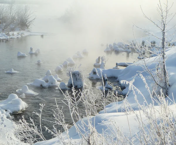 Nebliger Morgen auf dem Fluss im Winter — Stockfoto