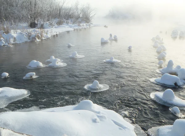 Туманное утро на реке зимой — стоковое фото