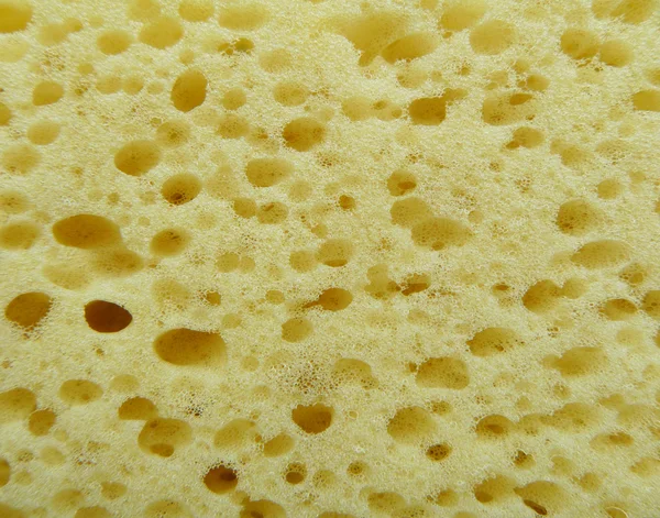 stock image Background from yellow sponge