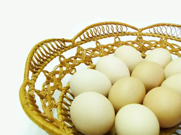 Slepičí vejce v opletené stráž; udržet — Stock fotografie