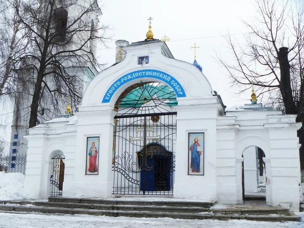 Hristo-rozhdestvenskiy katedralen i staden kovrove — Stockfoto