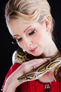 Attractive blond woman with python on black clipart